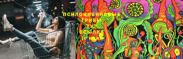 молекула духа Алзамай