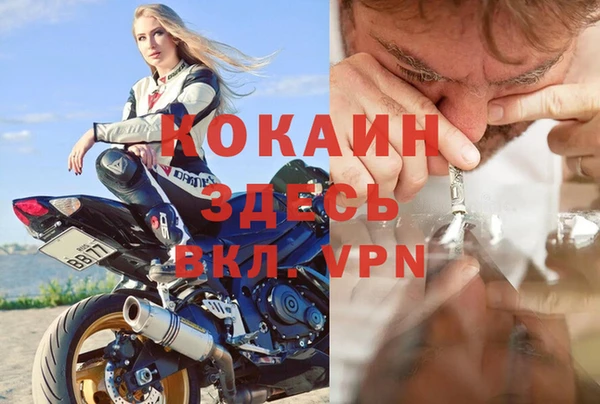 молекула духа Алзамай